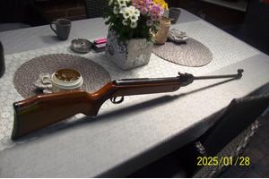 luchtbus diana  model 35